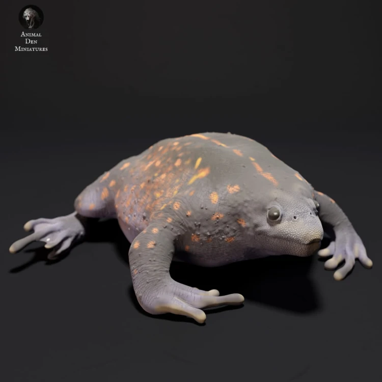 35130225_resize-mexican-burrowing-toad-3.jpg
