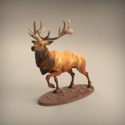 35130416_resize-elk1.jpg