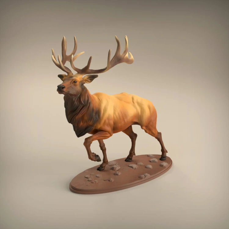 35130416_resize-elk1.jpg