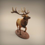 35130416_resize-elk3.jpg