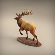 35130416_resize-elk5.jpg