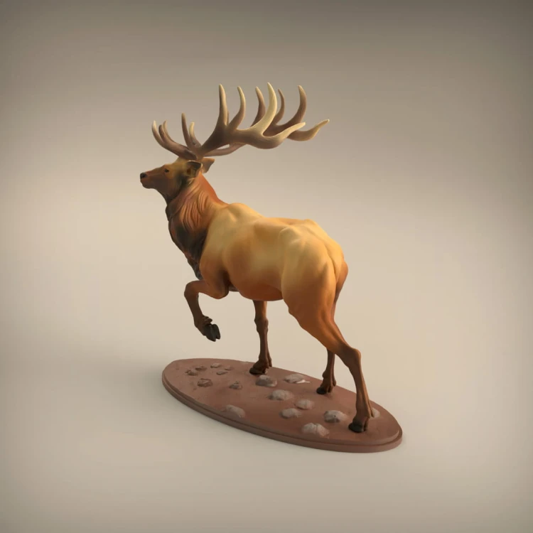 35130416_resize-elk5.jpg