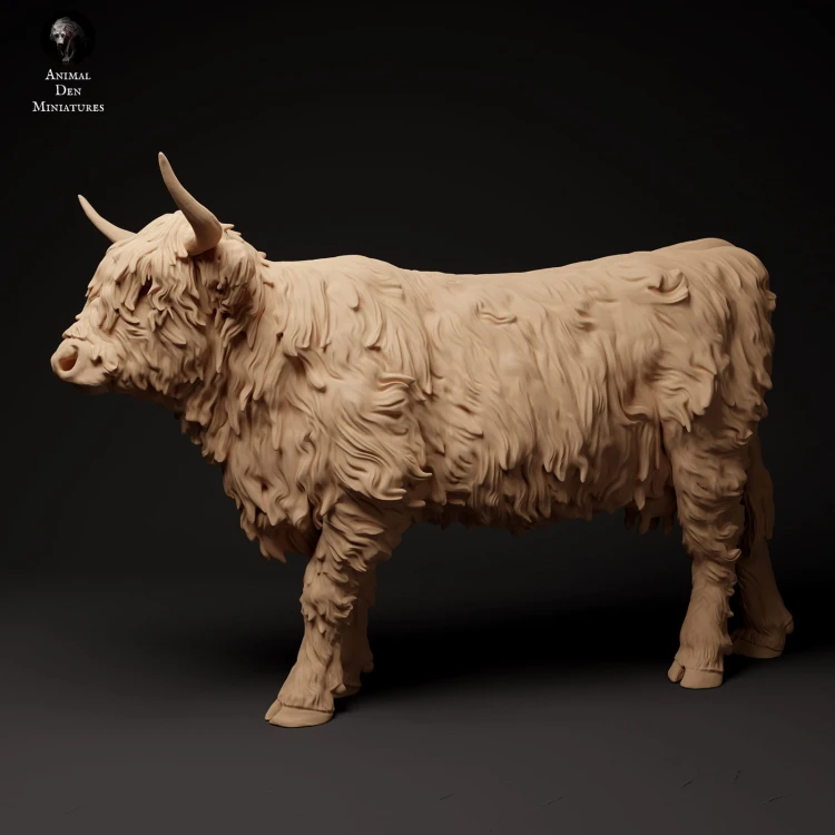35130305_highland_cow_1.jpg