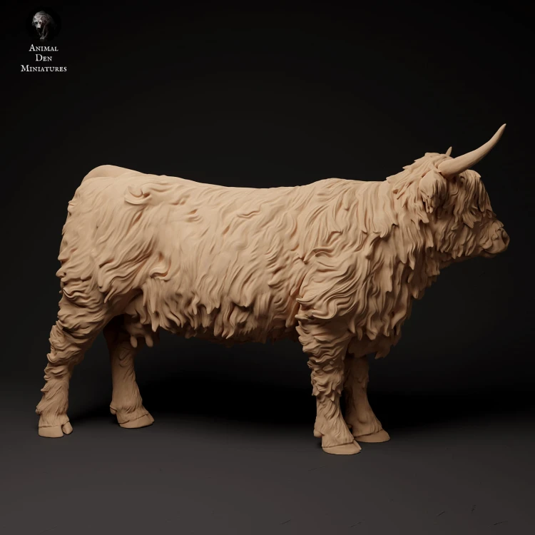 35130305_highland_cow_2.jpg