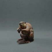 35130217_resize-beaver-2.jpg