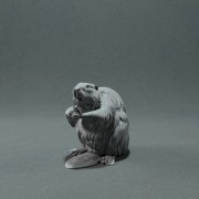35130217_resize-beaver.jpg