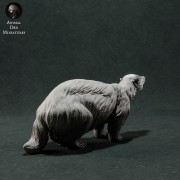 35130418_resize-badger-3.jpg